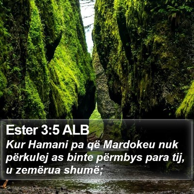 Ester 3:5 ALB Bible Verse Image