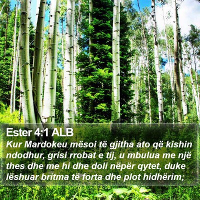 Ester 4:1 ALB Bible Verse Image