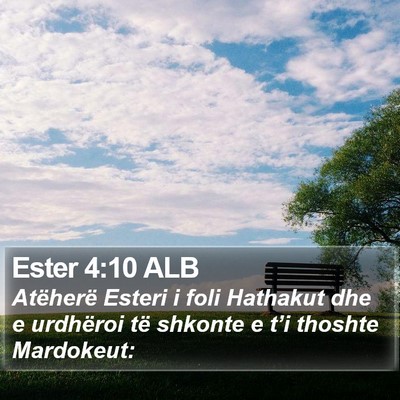 Ester 4:10 ALB Bible Verse Image
