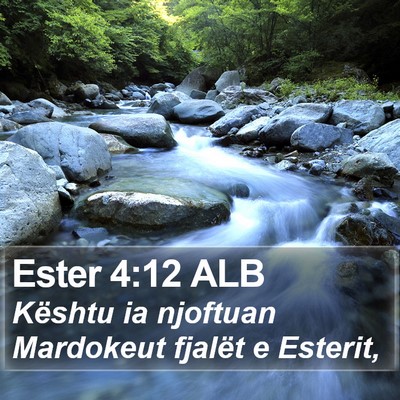 Ester 4:12 ALB Bible Verse Image
