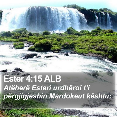 Ester 4:15 ALB Bible Verse Image