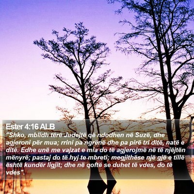 Ester 4:16 ALB Bible Verse Image