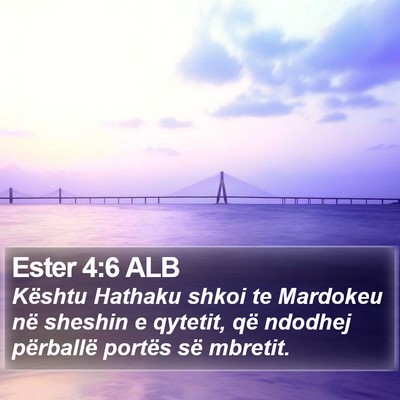 Ester 4:6 ALB Bible Verse Image