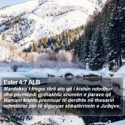 Ester 4:7 ALB Bible Verse Image