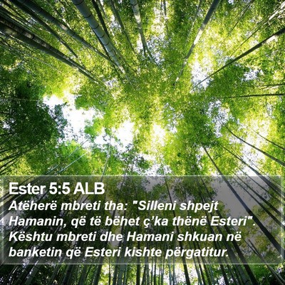Ester 5:5 ALB Bible Verse Image