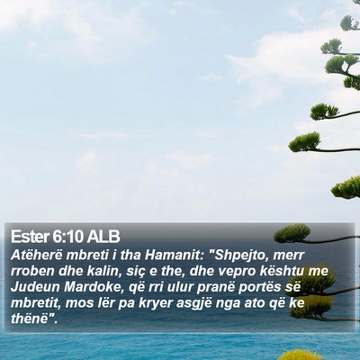 Ester 6:10 ALB Bible Verse Image