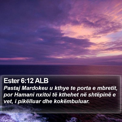 Ester 6:12 ALB Bible Verse Image