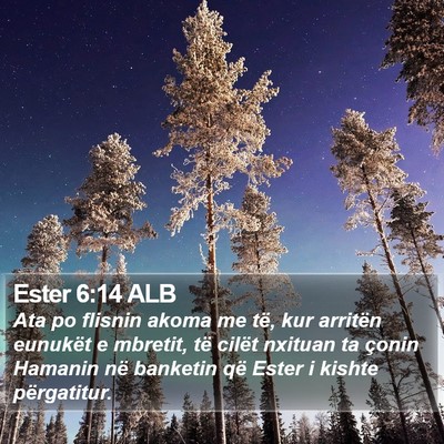 Ester 6:14 ALB Bible Verse Image