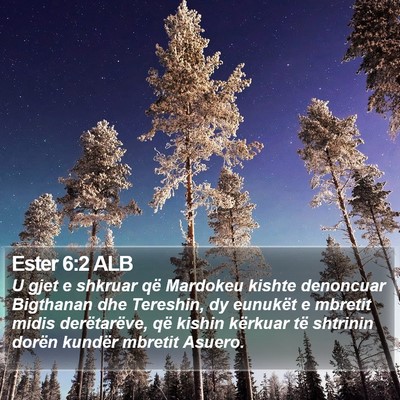 Ester 6:2 ALB Bible Verse Image