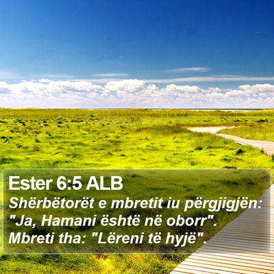 Ester 6:5 ALB Bible Verse Image