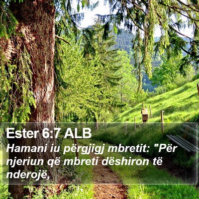 Ester 6:7 ALB Bible Verse Image