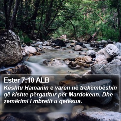 Ester 7:10 ALB Bible Verse Image