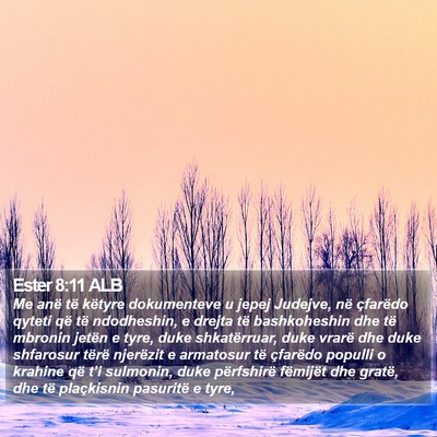 Ester 8:11 ALB Bible Verse Image