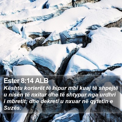 Ester 8:14 ALB Bible Verse Image
