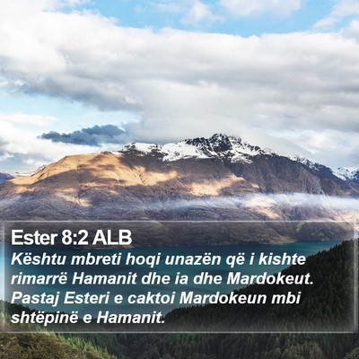 Ester 8:2 ALB Bible Verse Image