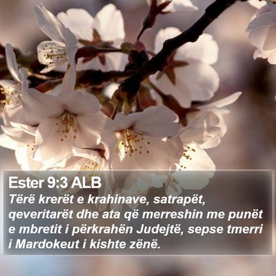 Ester 9:3 ALB Bible Verse Image