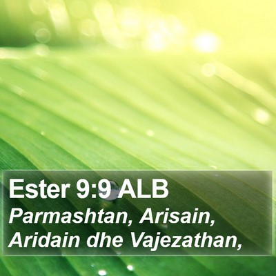 Ester 9:9 ALB Bible Verse Image