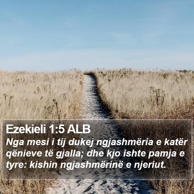 Ezekieli 1:5 ALB Bible Verse Image