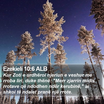 Ezekieli 10:6 ALB Bible Verse Image