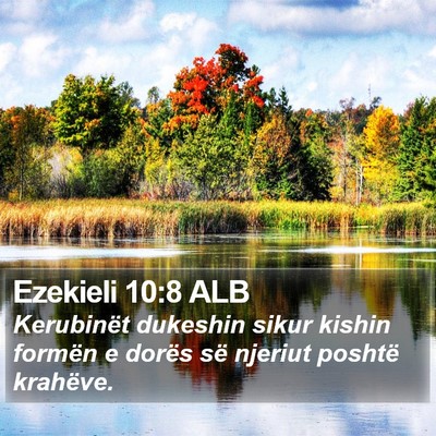 Ezekieli 10:8 ALB Bible Verse Image