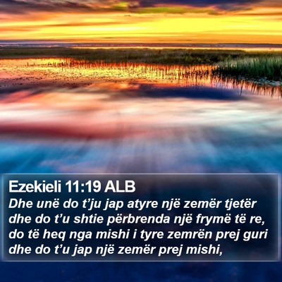 Ezekieli 11:19 ALB Bible Verse Image