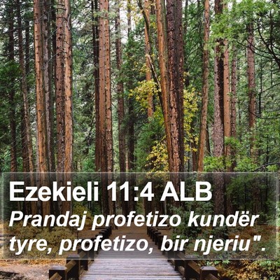 Ezekieli 11:4 ALB Bible Verse Image