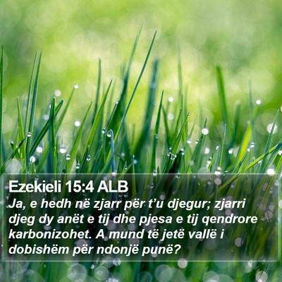 Ezekieli 15:4 ALB Bible Verse Image