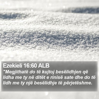 Ezekieli 16:60 ALB Bible Verse Image