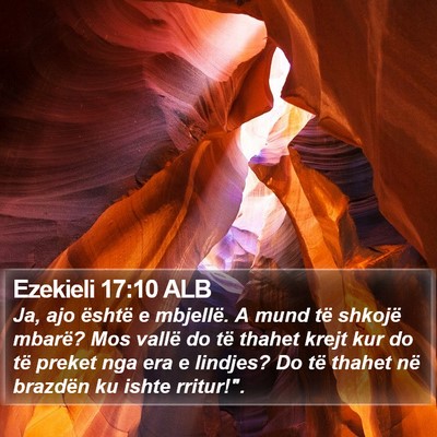 Ezekieli 17:10 ALB Bible Verse Image