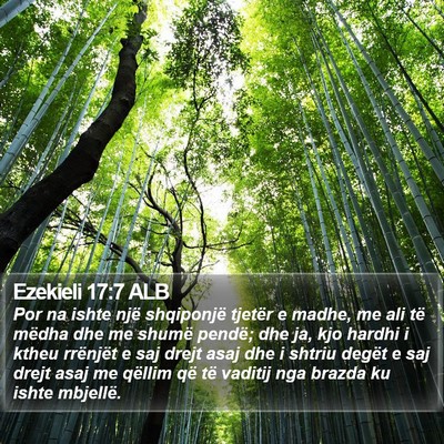 Ezekieli 17:7 ALB Bible Verse Image