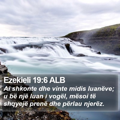 Ezekieli 19:6 ALB Bible Verse Image