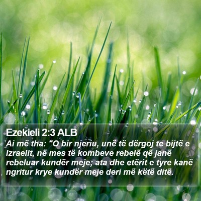 Ezekieli 2:3 ALB Bible Verse Image