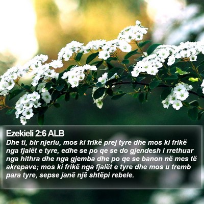 Ezekieli 2:6 ALB Bible Verse Image