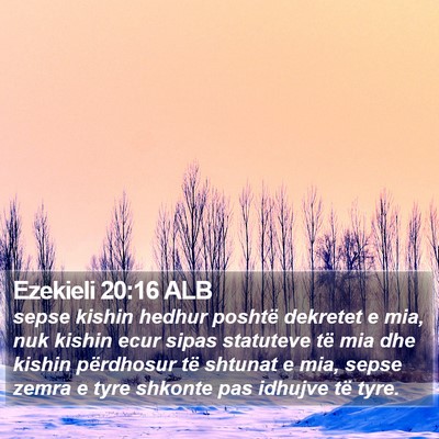 Ezekieli 20:16 ALB Bible Verse Image