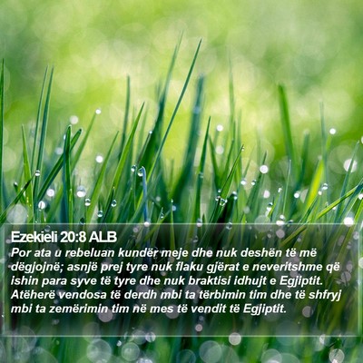 Ezekieli 20:8 ALB Bible Verse Image