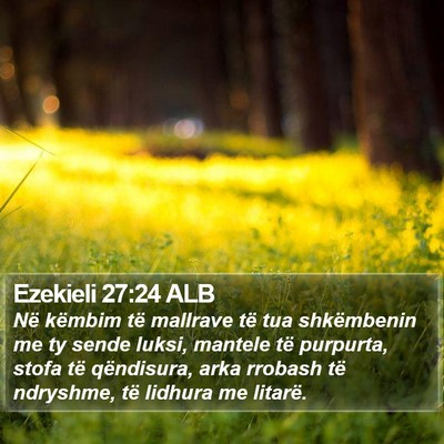 Ezekieli 27:24 ALB Bible Verse Image