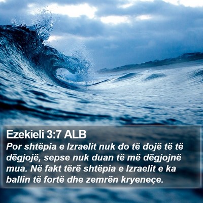 Ezekieli 3:7 ALB Bible Verse Image