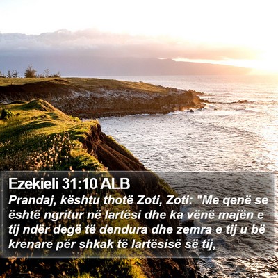 Ezekieli 31:10 ALB Bible Verse Image