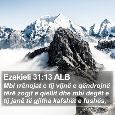 Ezekieli 31:13 ALB Bible Verse Image