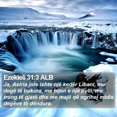 Ezekieli 31:3 ALB Bible Verse Image