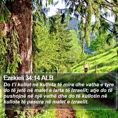 Ezekieli 34:14 ALB Bible Verse Image