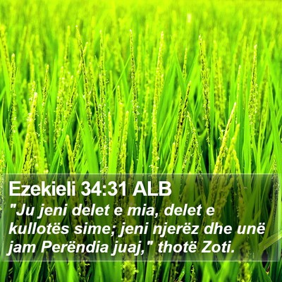 Ezekieli 34:31 ALB Bible Verse Image