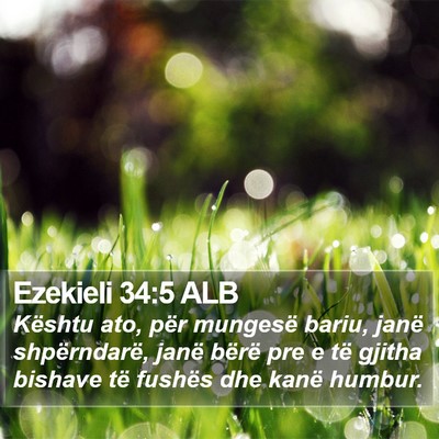 Ezekieli 34:5 ALB Bible Verse Image