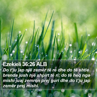 Ezekieli 36:26 ALB Bible Verse Image