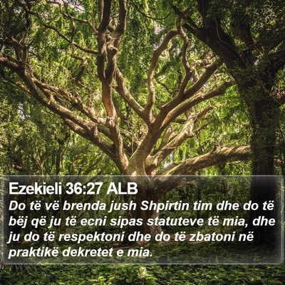 Ezekieli 36:27 ALB Bible Verse Image