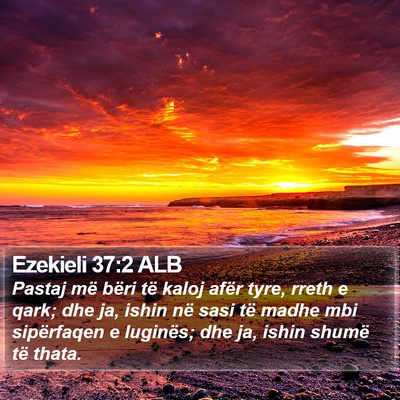 Ezekieli 37:2 ALB Bible Verse Image