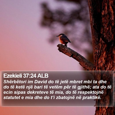 Ezekieli 37:24 ALB Bible Verse Image