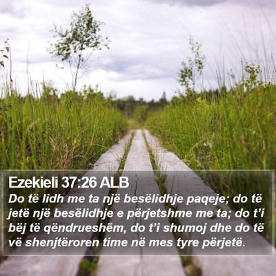 Ezekieli 37:26 ALB Bible Verse Image