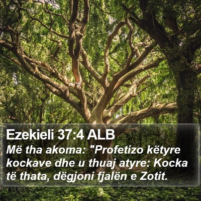 Ezekieli 37:4 ALB Bible Verse Image