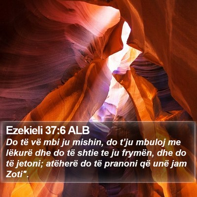 Ezekieli 37:6 ALB Bible Verse Image